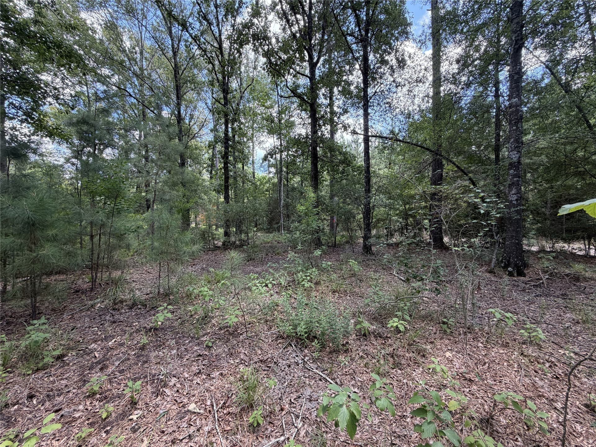 3.03 acres in Panola County - photo 19
