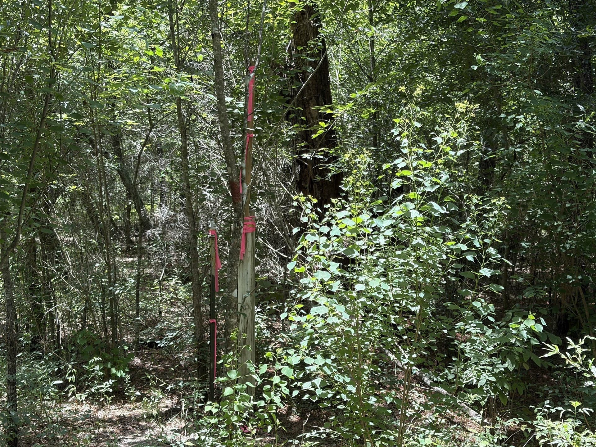 3.03 acres in Panola County - photo 17