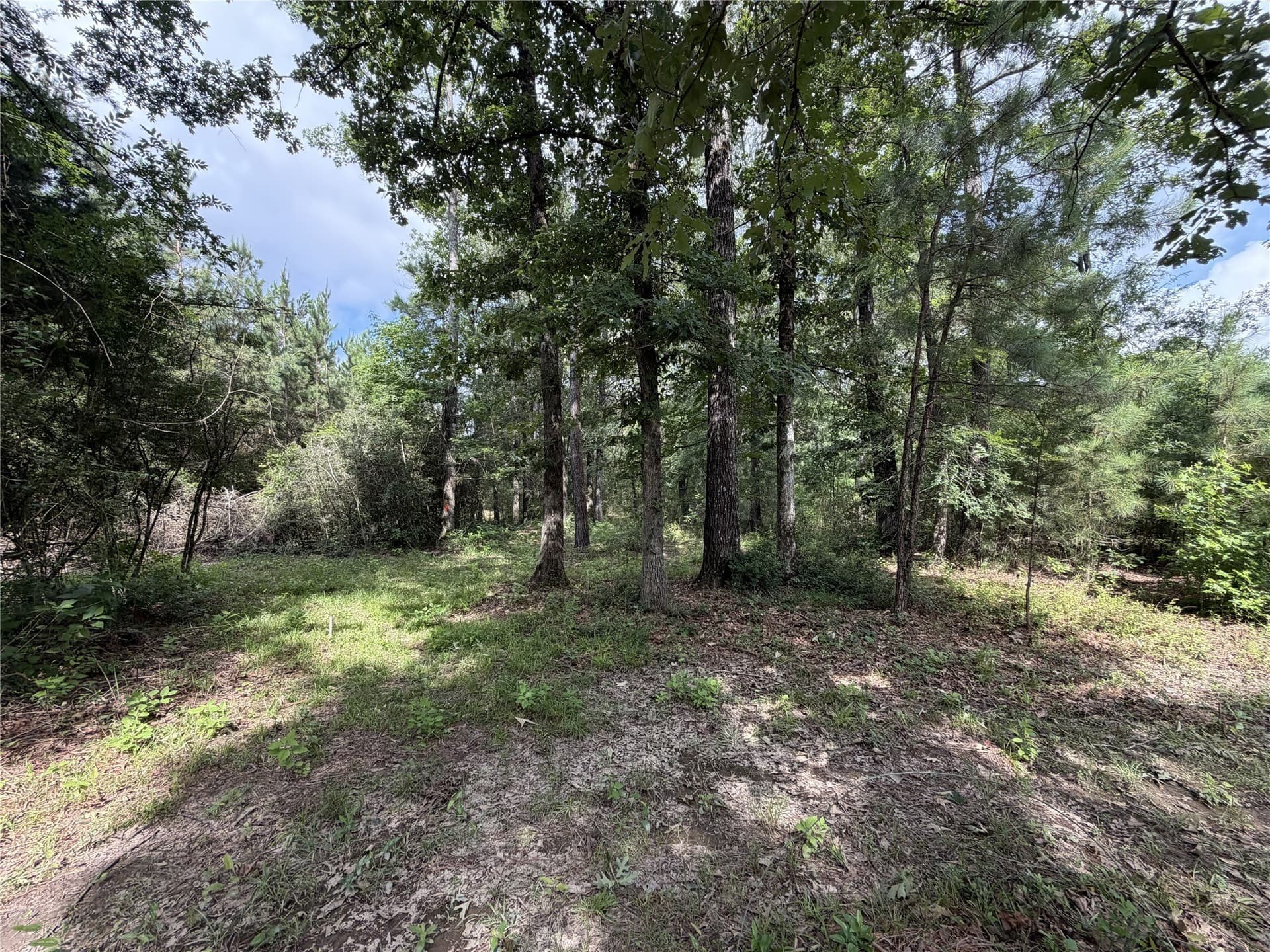 3.03 acres in Panola County - photo 7