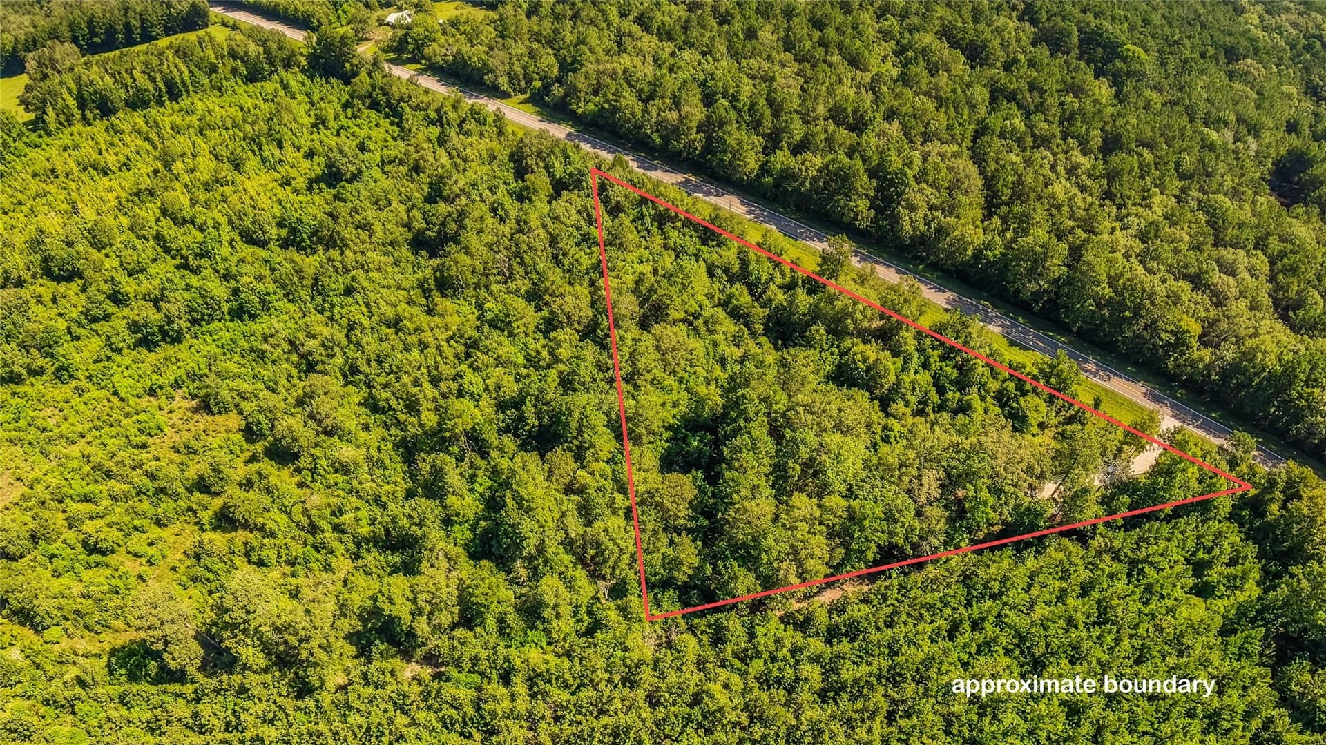 3.03 acres in Panola County - photo 26