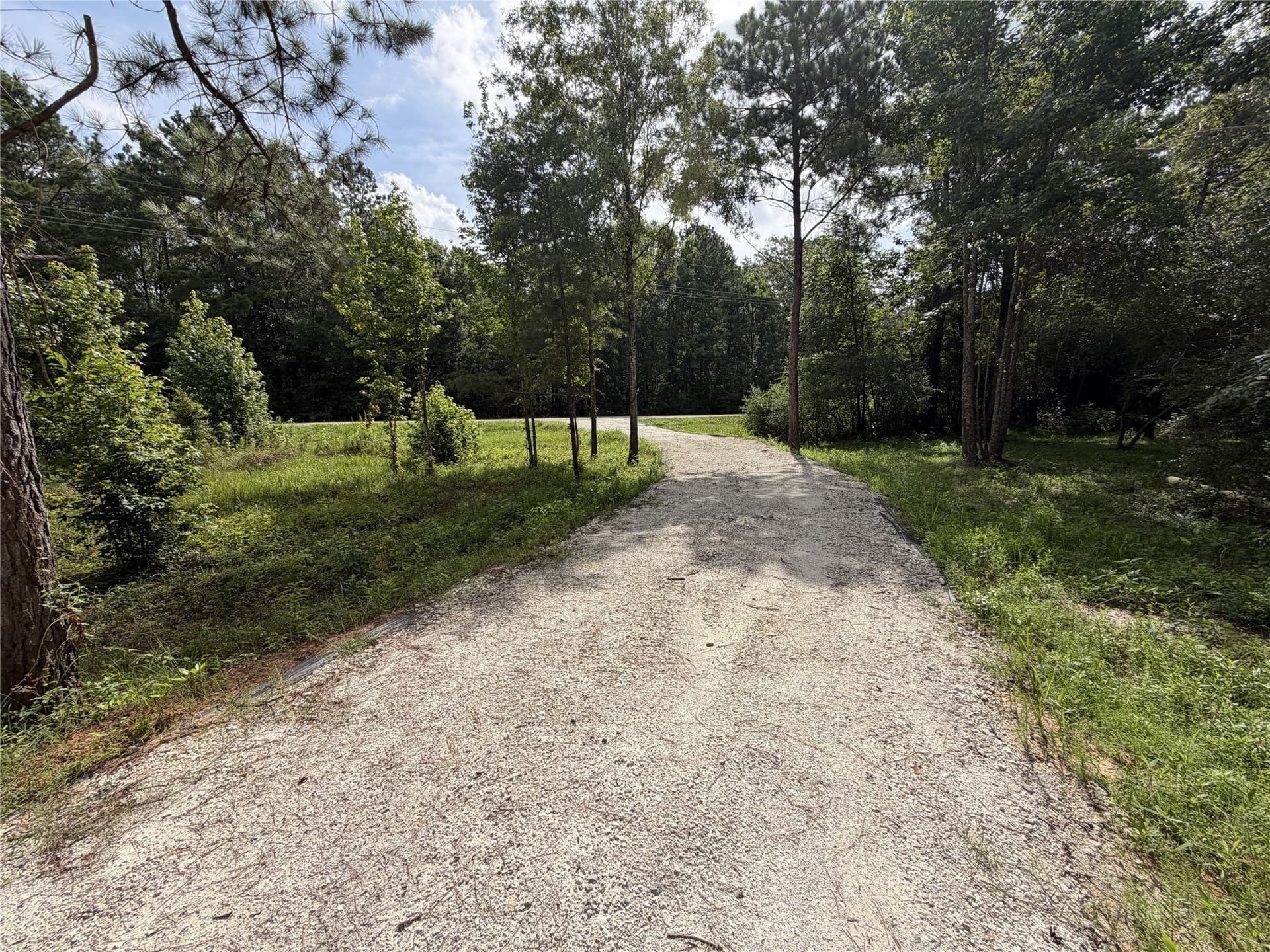 3.03 acres in Panola County - photo 5