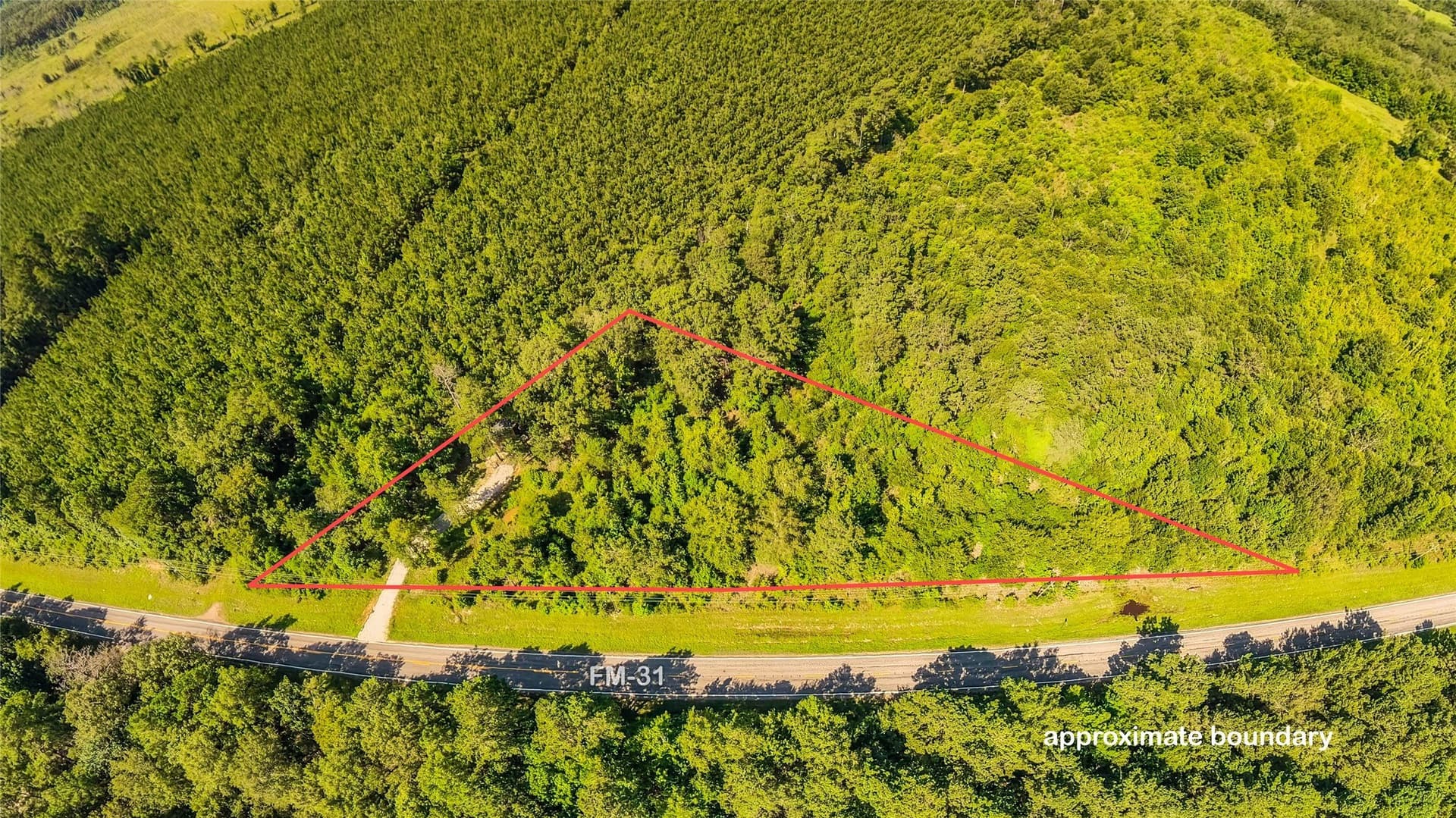 3.03 acres in Panola County - photo 28