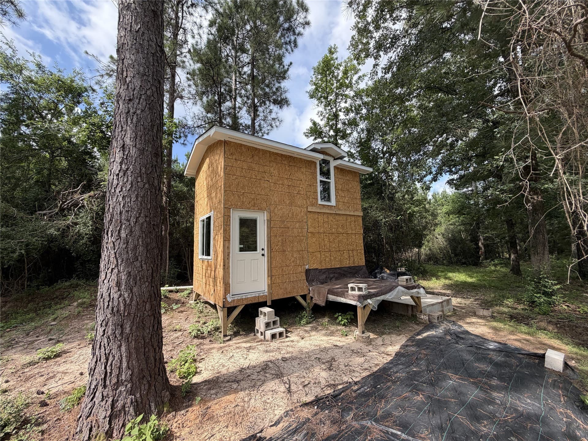 3.03 acres in Panola County - photo 6