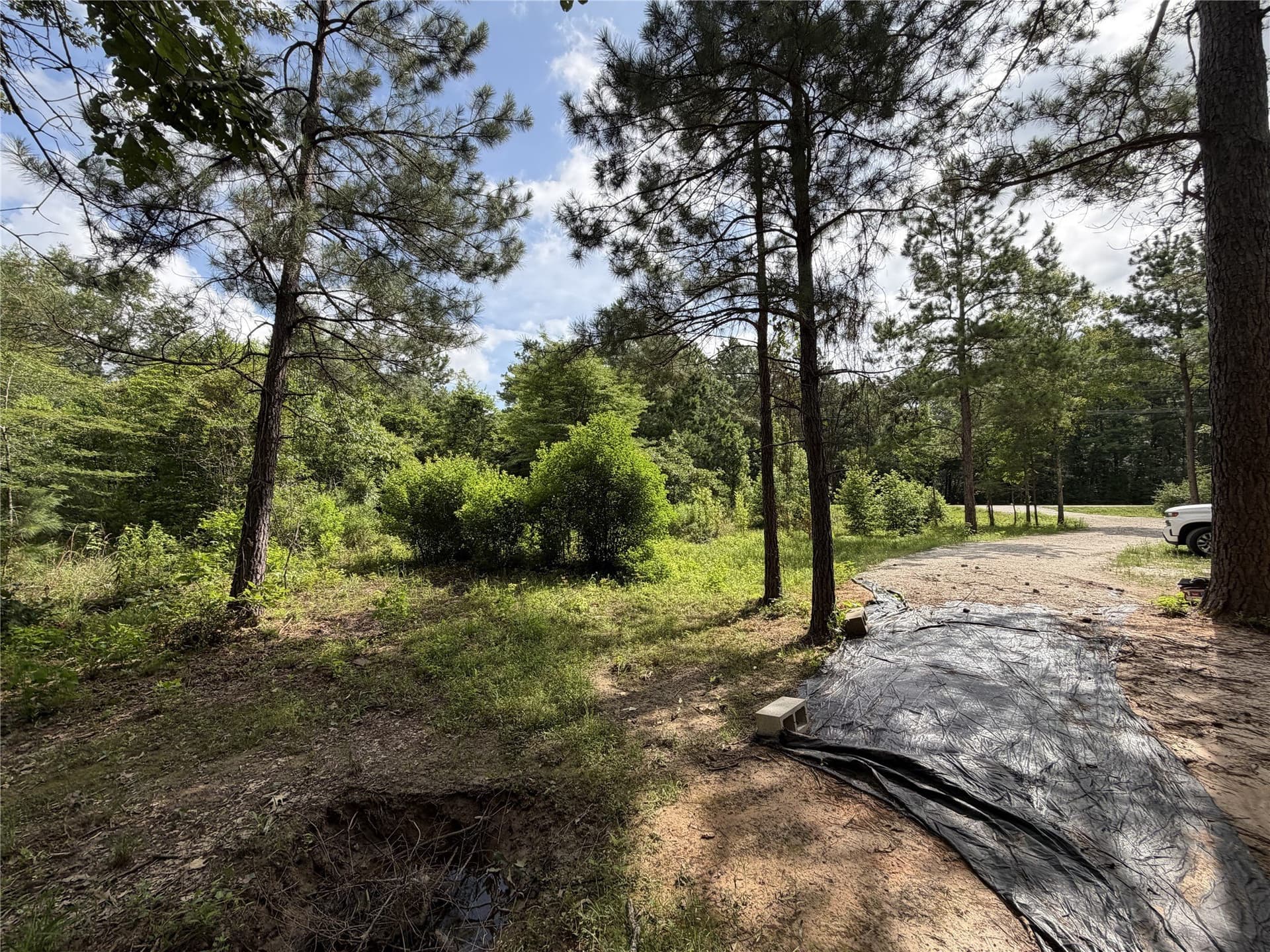 3.03 acres in Panola County - photo 8