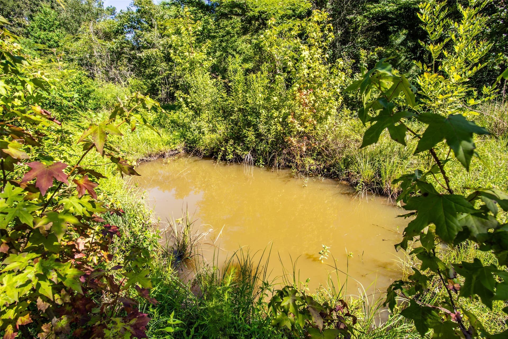 3.03 acres in Panola County - photo 33