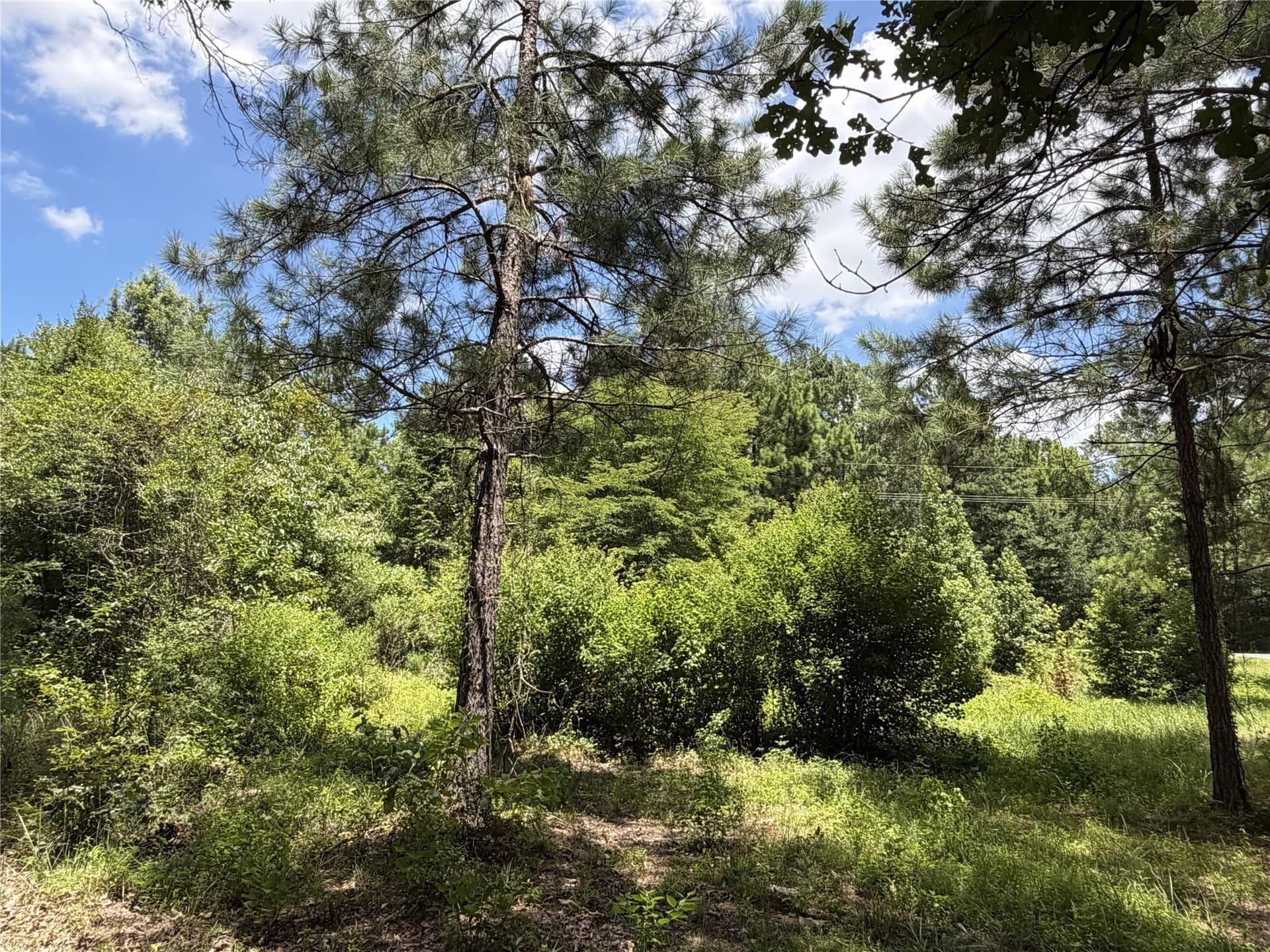 3.03 acres in Panola County - photo 20