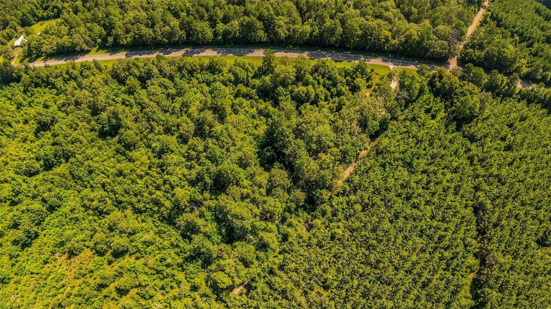 3.03 acres in Panola County - photo 25