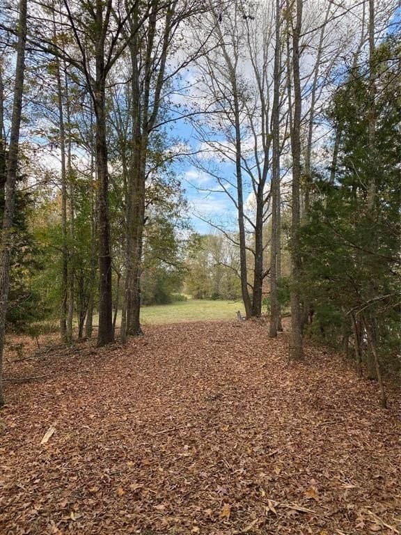 5.48 acres in Henderson County gallery image 3