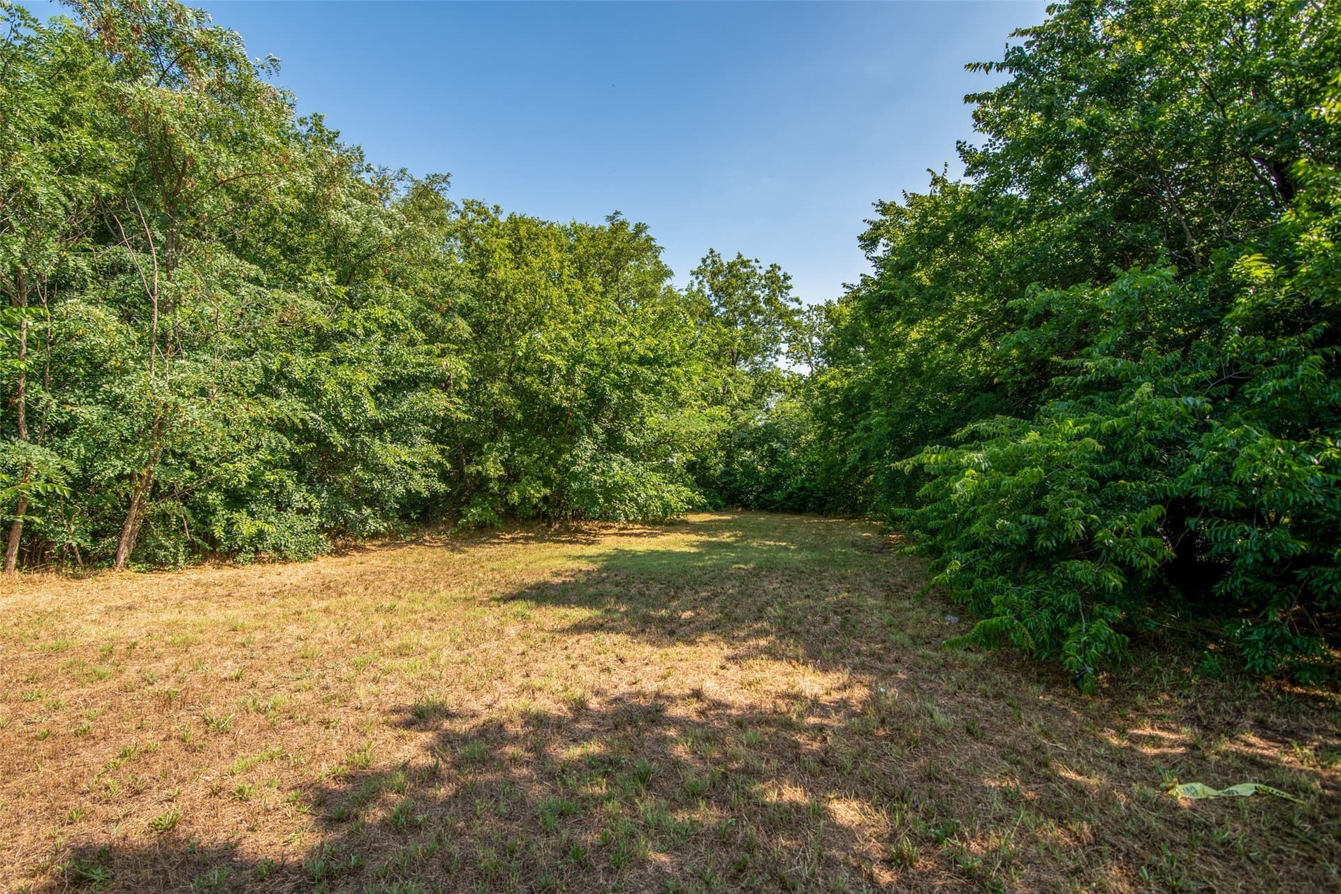 0.34 acres in Grayson County gallery image 4