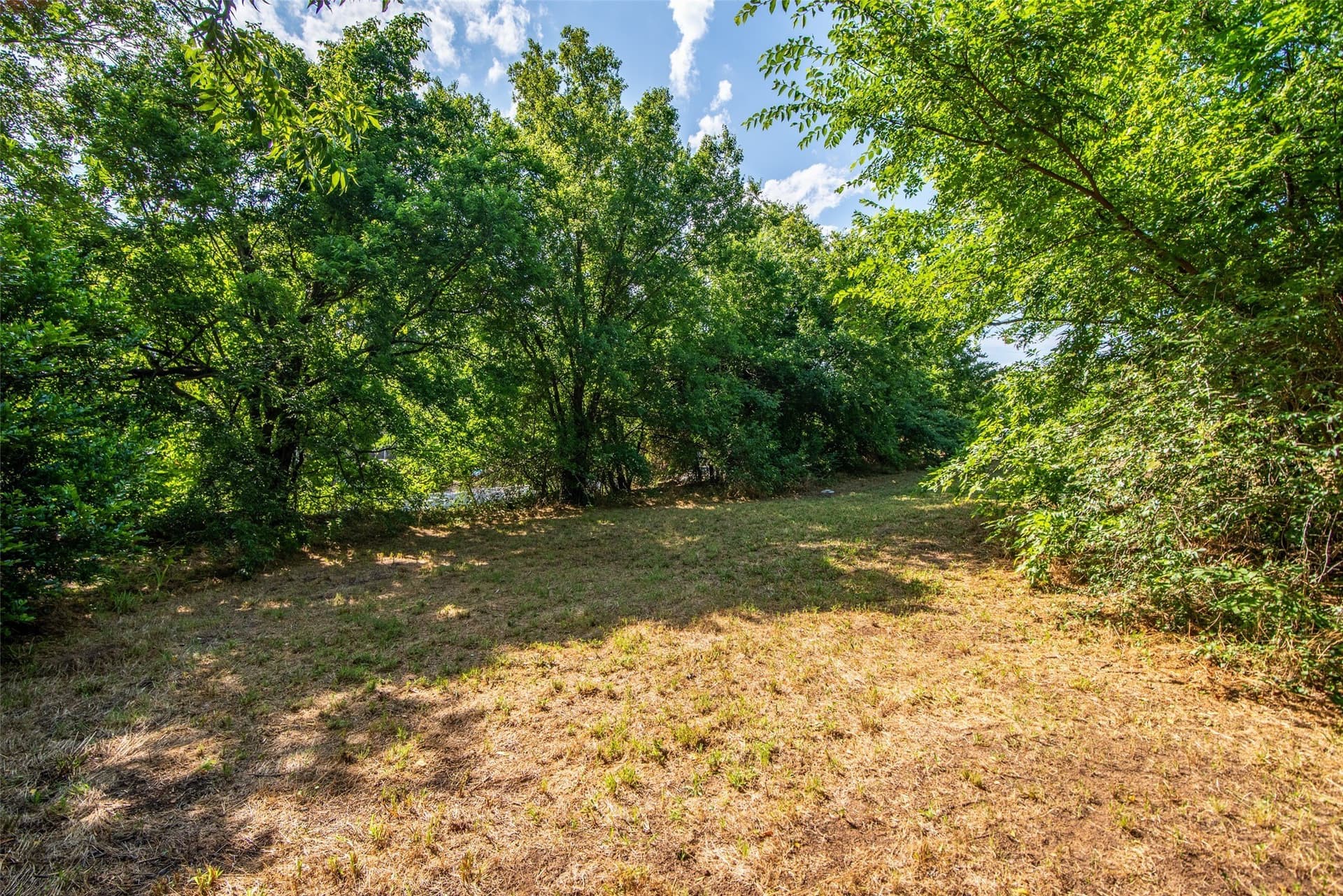 0.34 acres in Grayson County gallery image 2