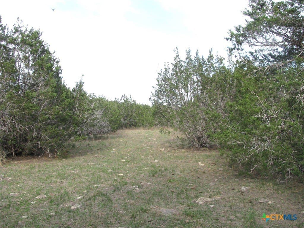 19.95 acres in Coryell County gallery image 3