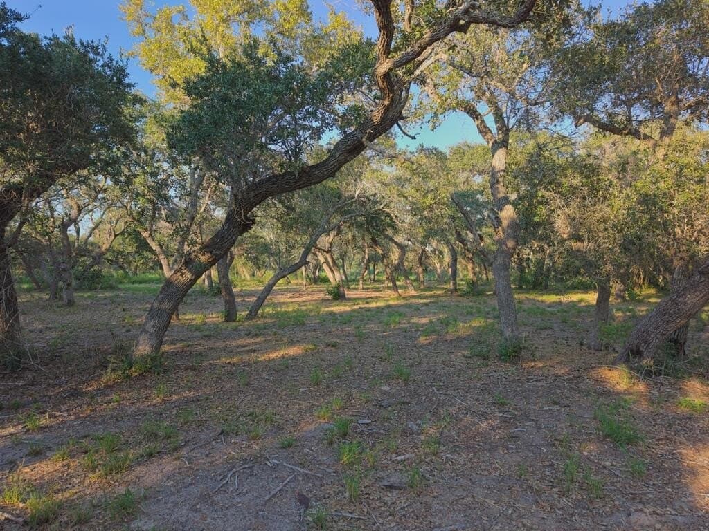 2.54 acres in Texas County - photo 20