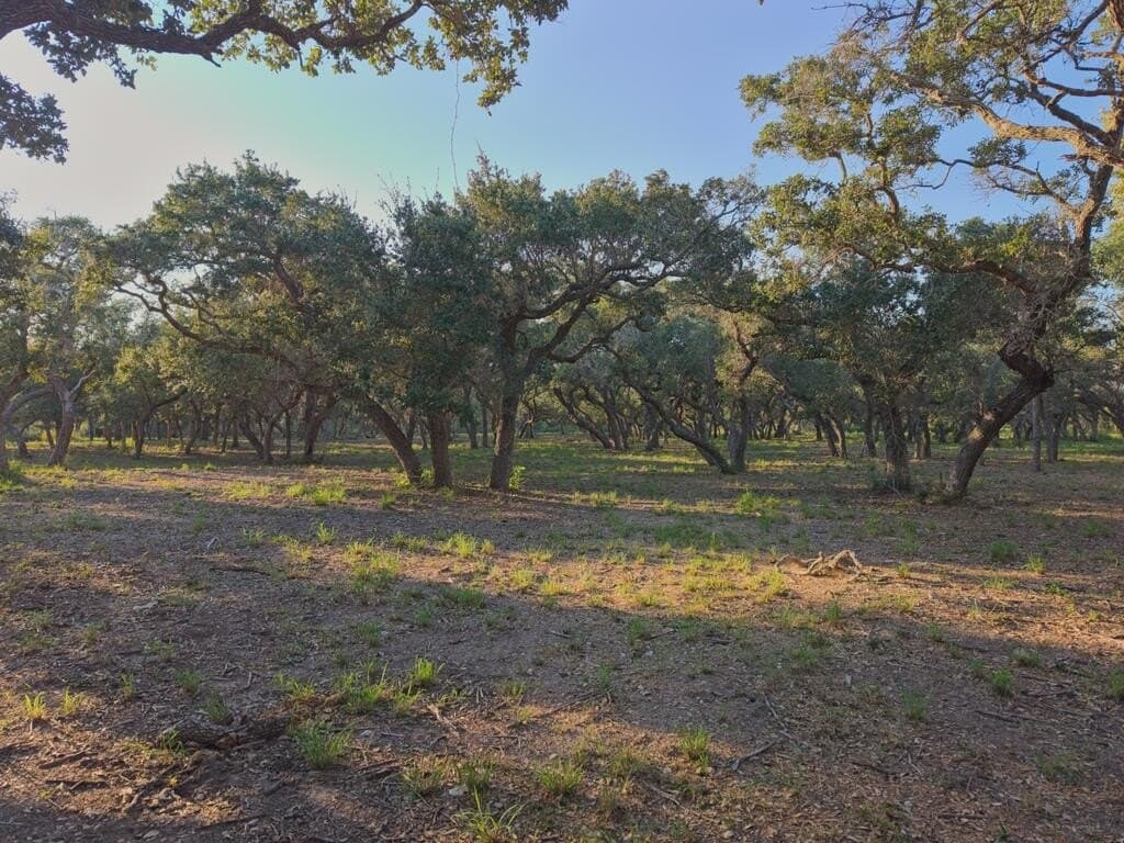 2.54 acres in Texas County - photo 15