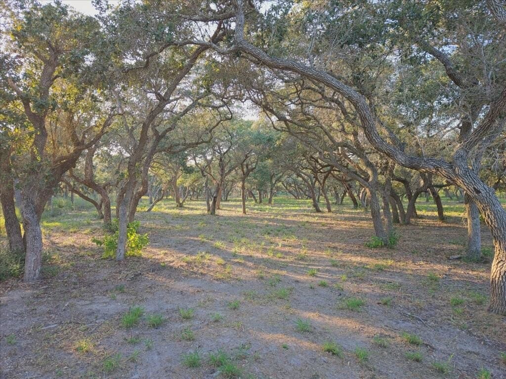 2.54 acres in Texas County - photo 14