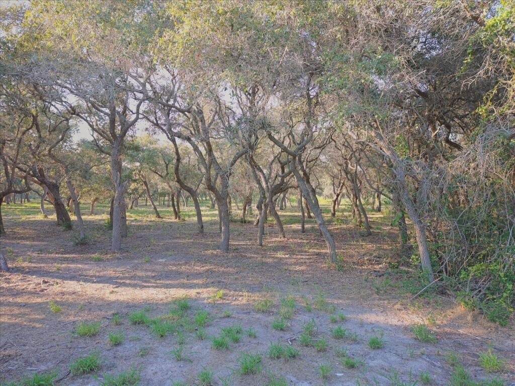 2.54 acres in Texas County - photo 6