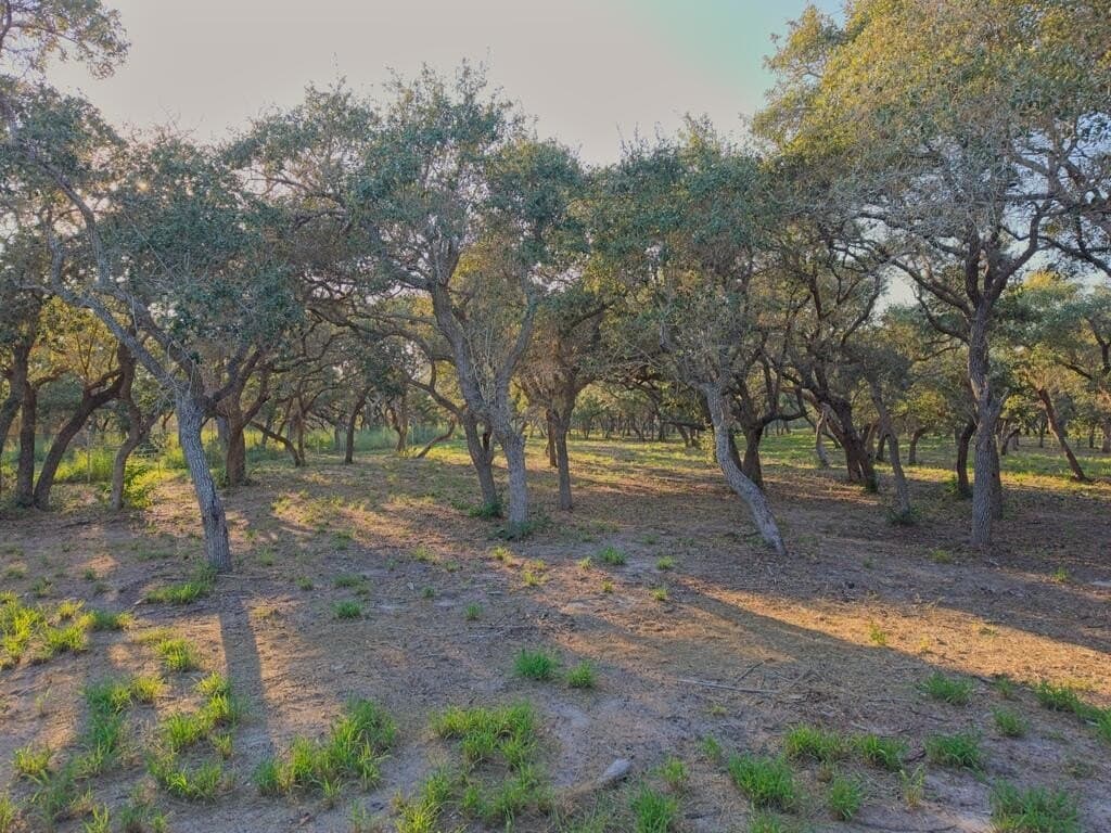 2.54 acres in Texas County - photo 13