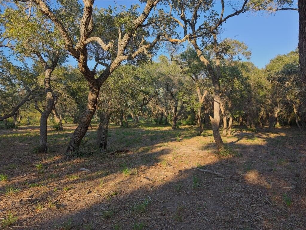 2.54 acres in Texas County - photo 17