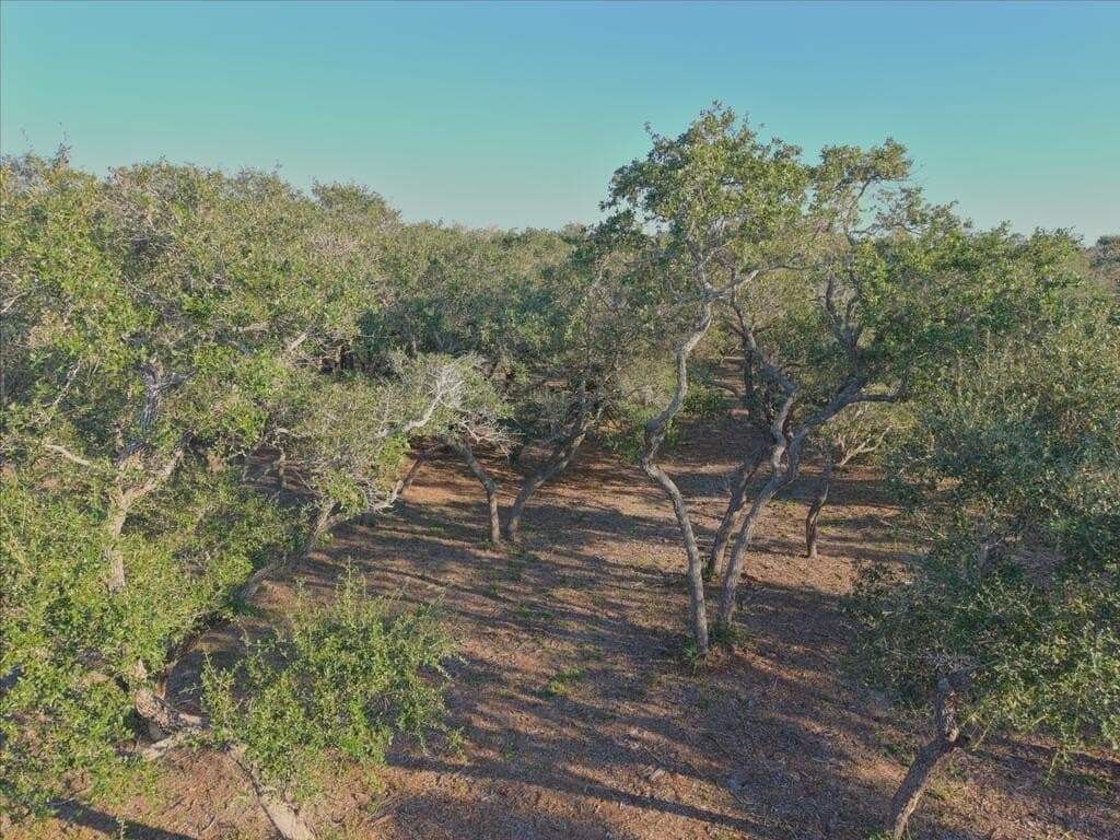 2.54 acres in Texas County - photo 3