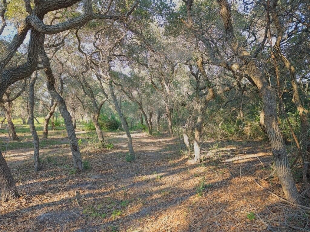 2.54 acres in Texas County - photo 7