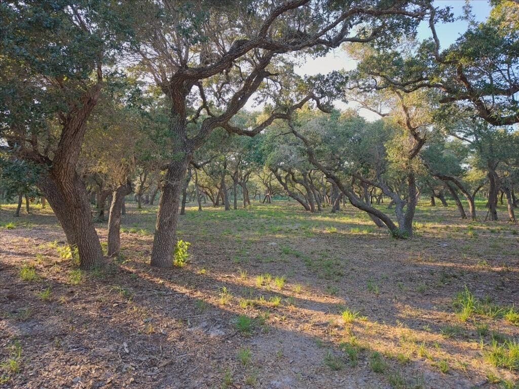 2.54 acres in Texas County - photo 19