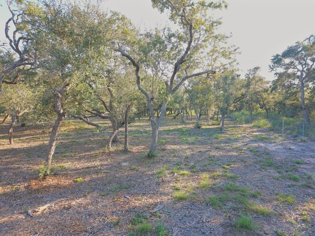 2.54 acres in Texas County - photo 4