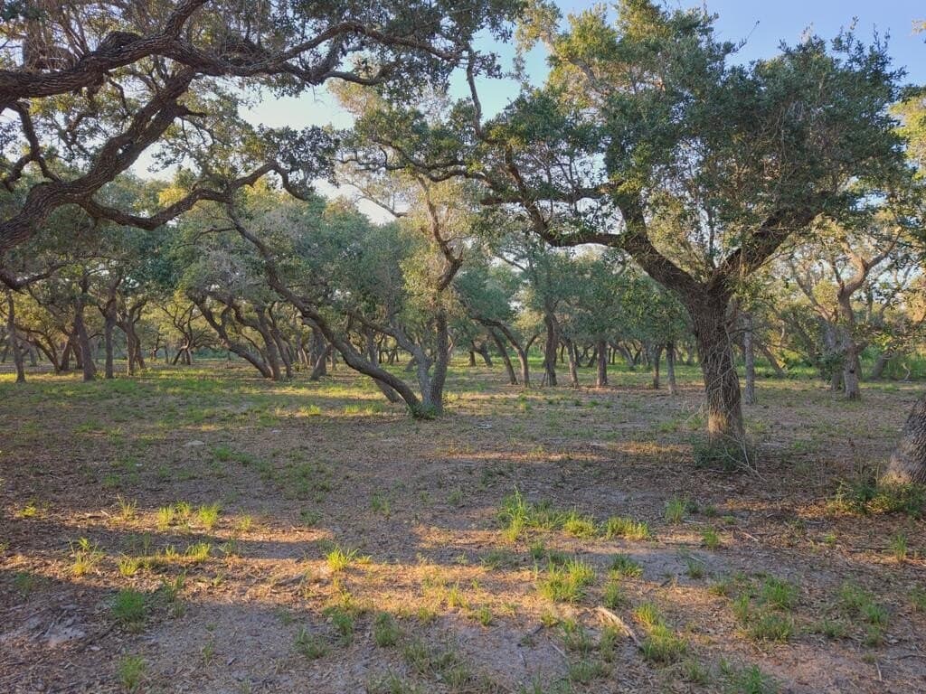 2.54 acres in Texas County - photo 18