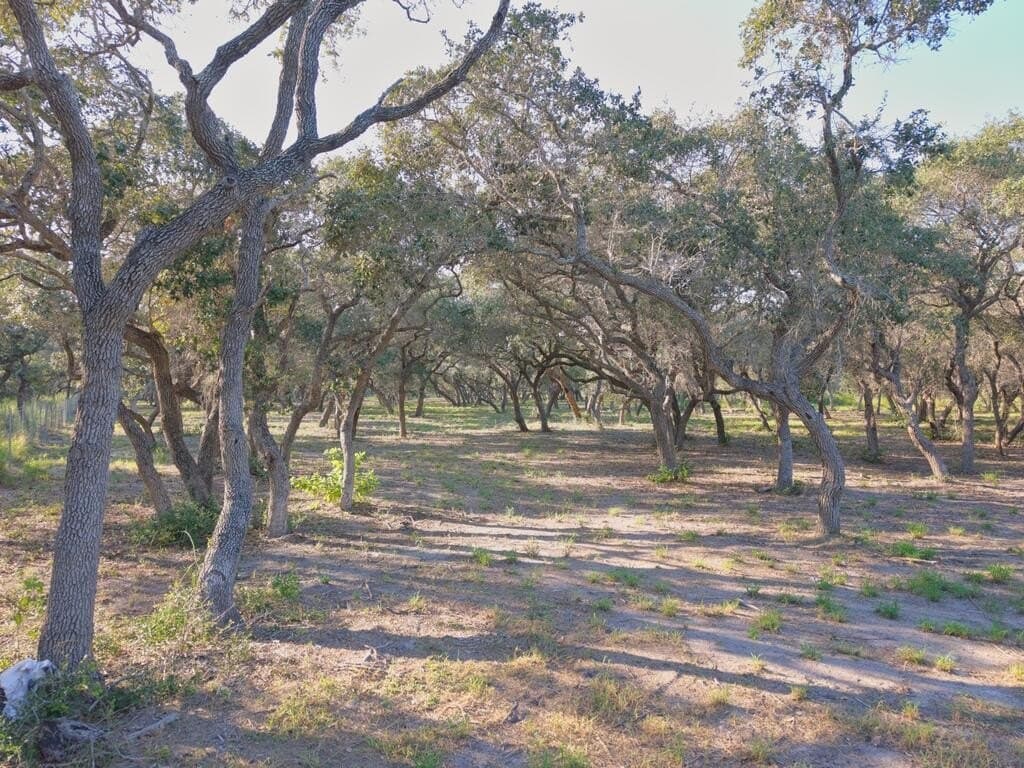 2.54 acres in Texas County - photo 2