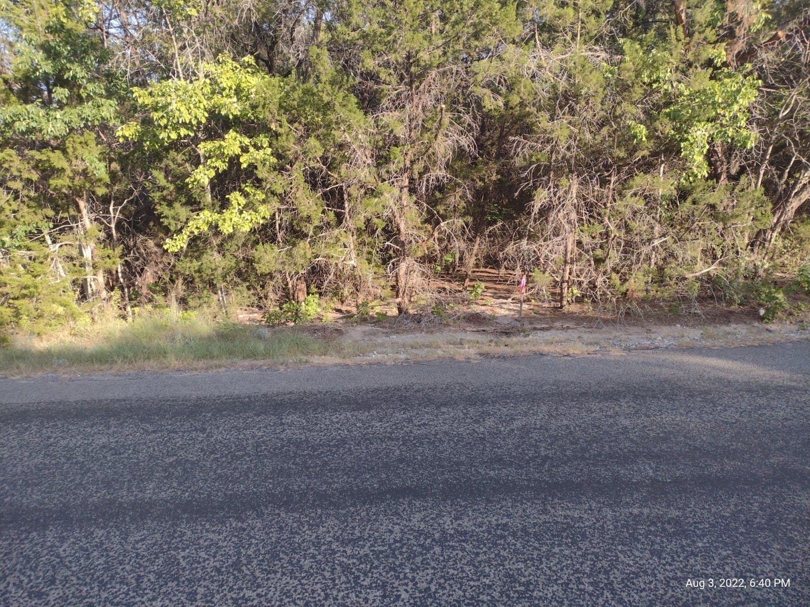 0.25 acres in Hood County - photo 2