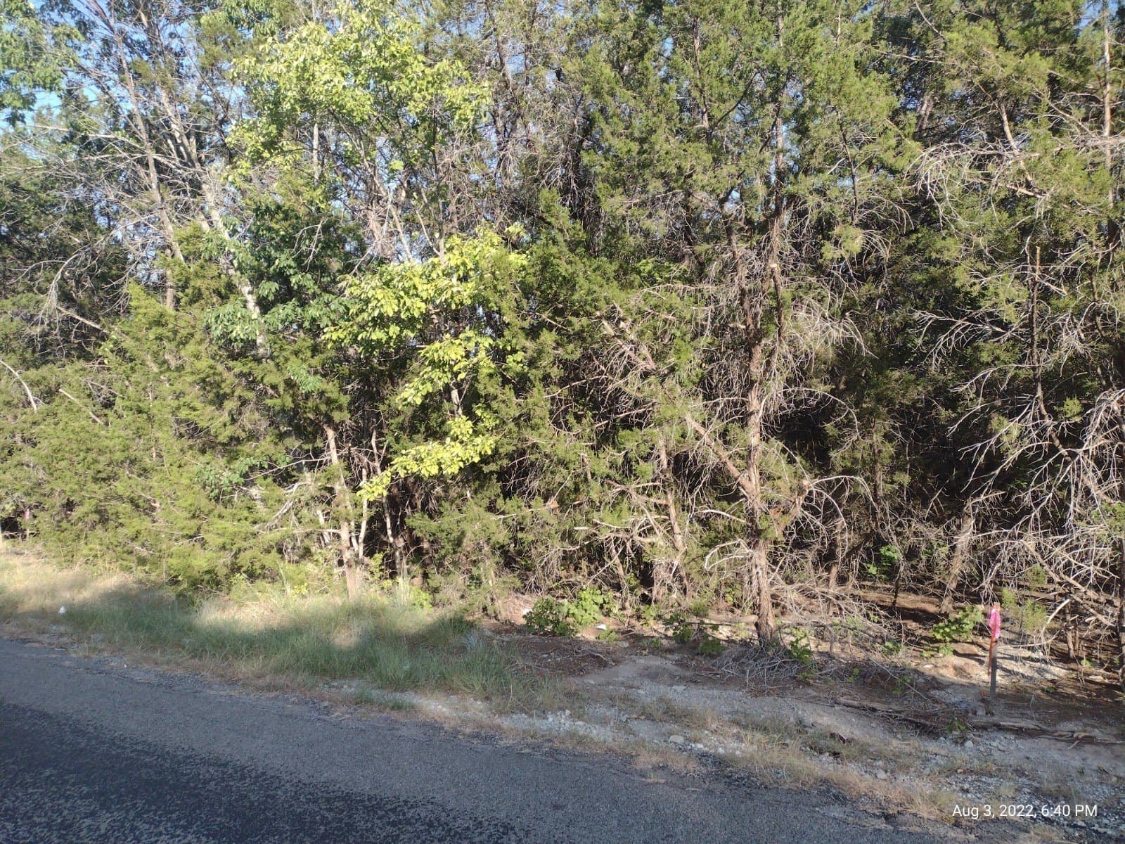 0.25 acres in Hood County - photo 3