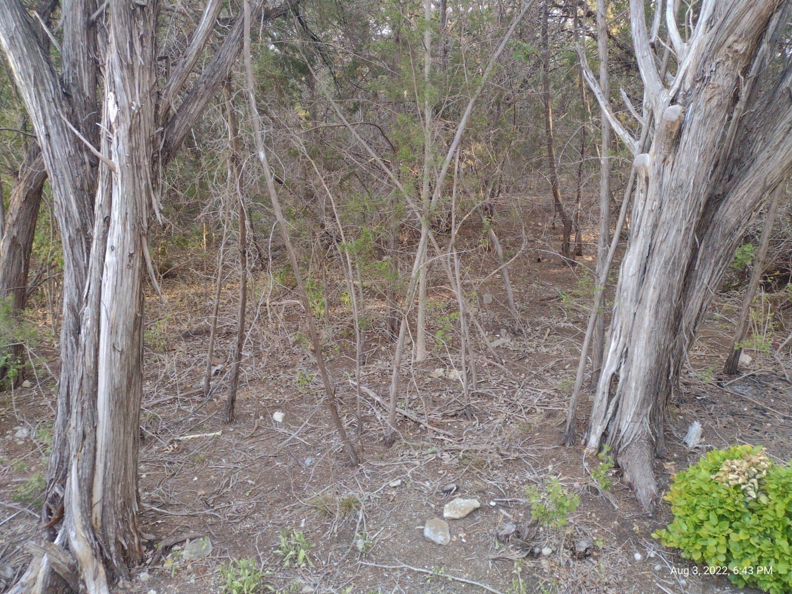 0.25 acres in Hood County - photo 8