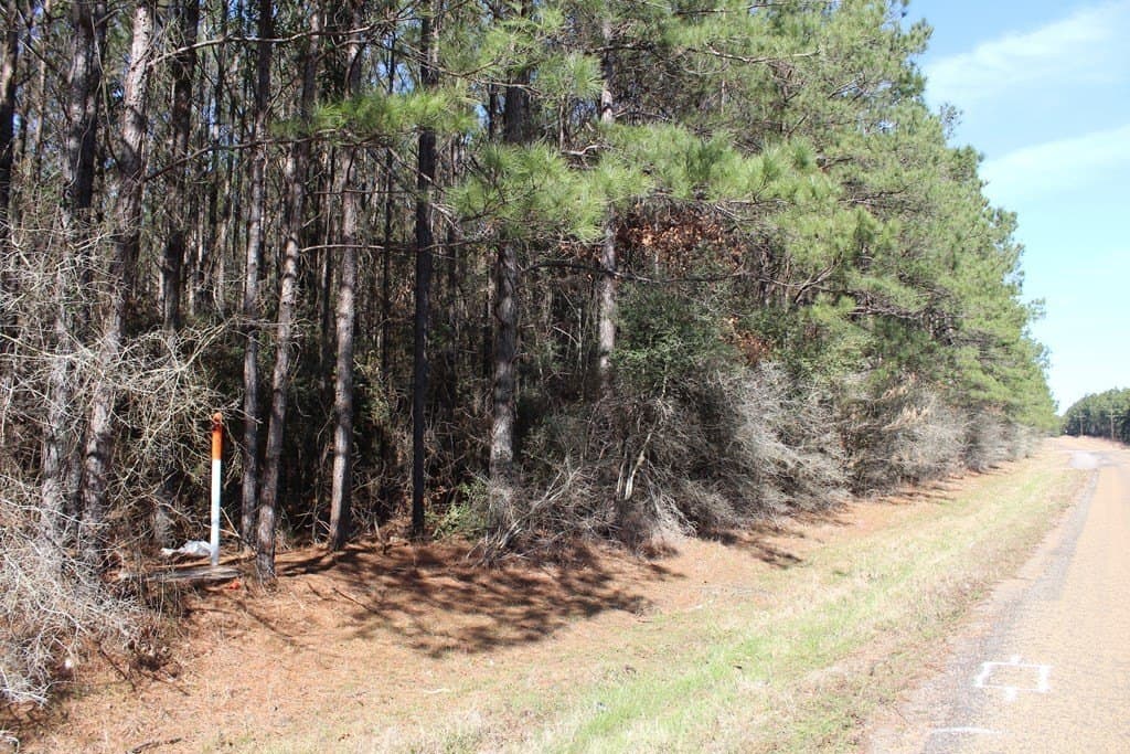 24.21 acres in Texas County - photo 6