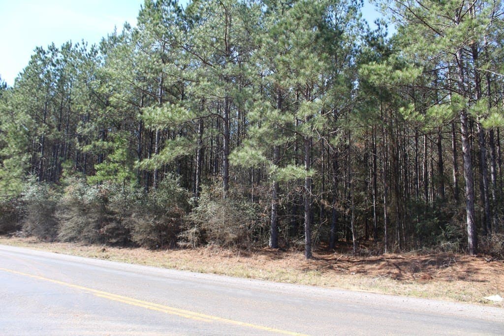 24.21 acres in Texas County - photo 5