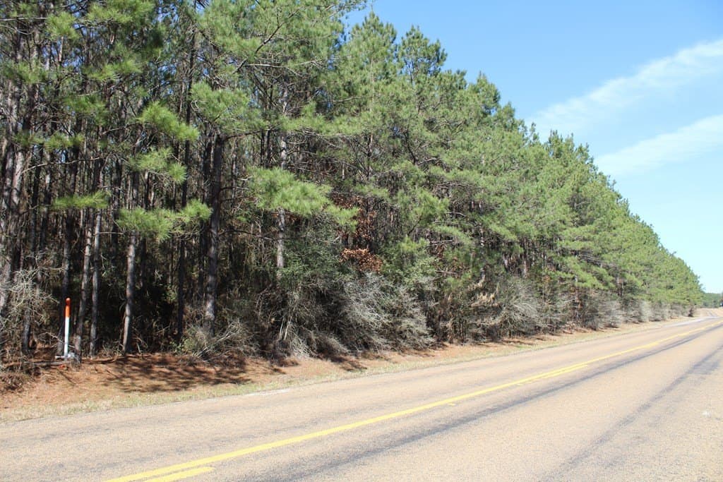 24.21 acres in Texas County - photo 7