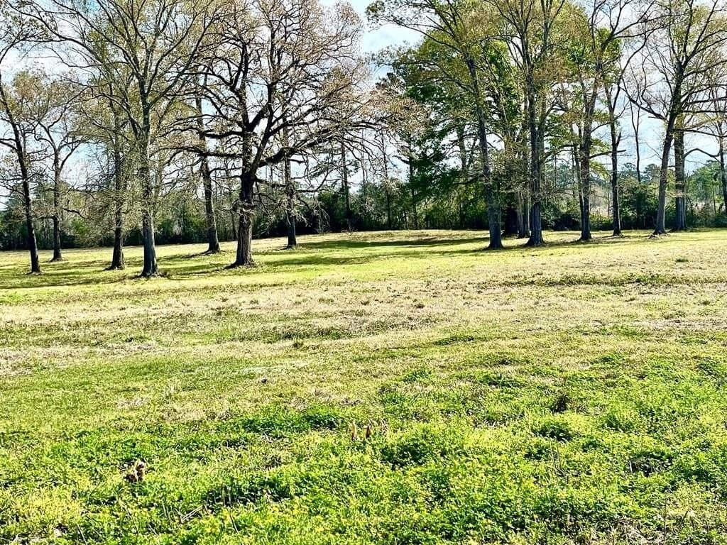 41.32 acres in Texas County - photo 54