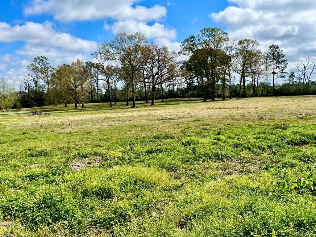 41.32 acres in Texas County - photo 53