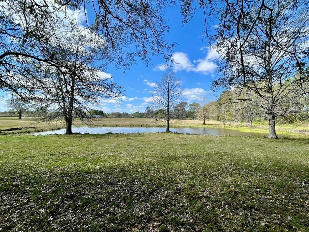 41.32 acres in Texas County - photo 17