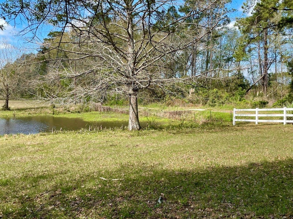 41.32 acres in Texas County - photo 18