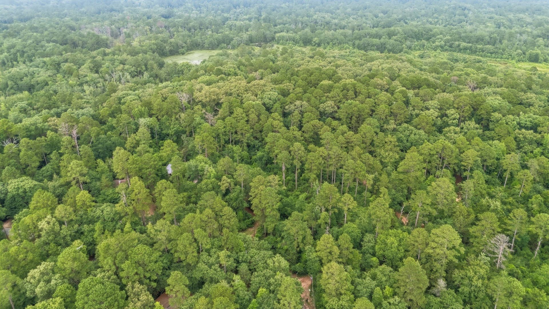 1.35 acres in Wood County - photo 28