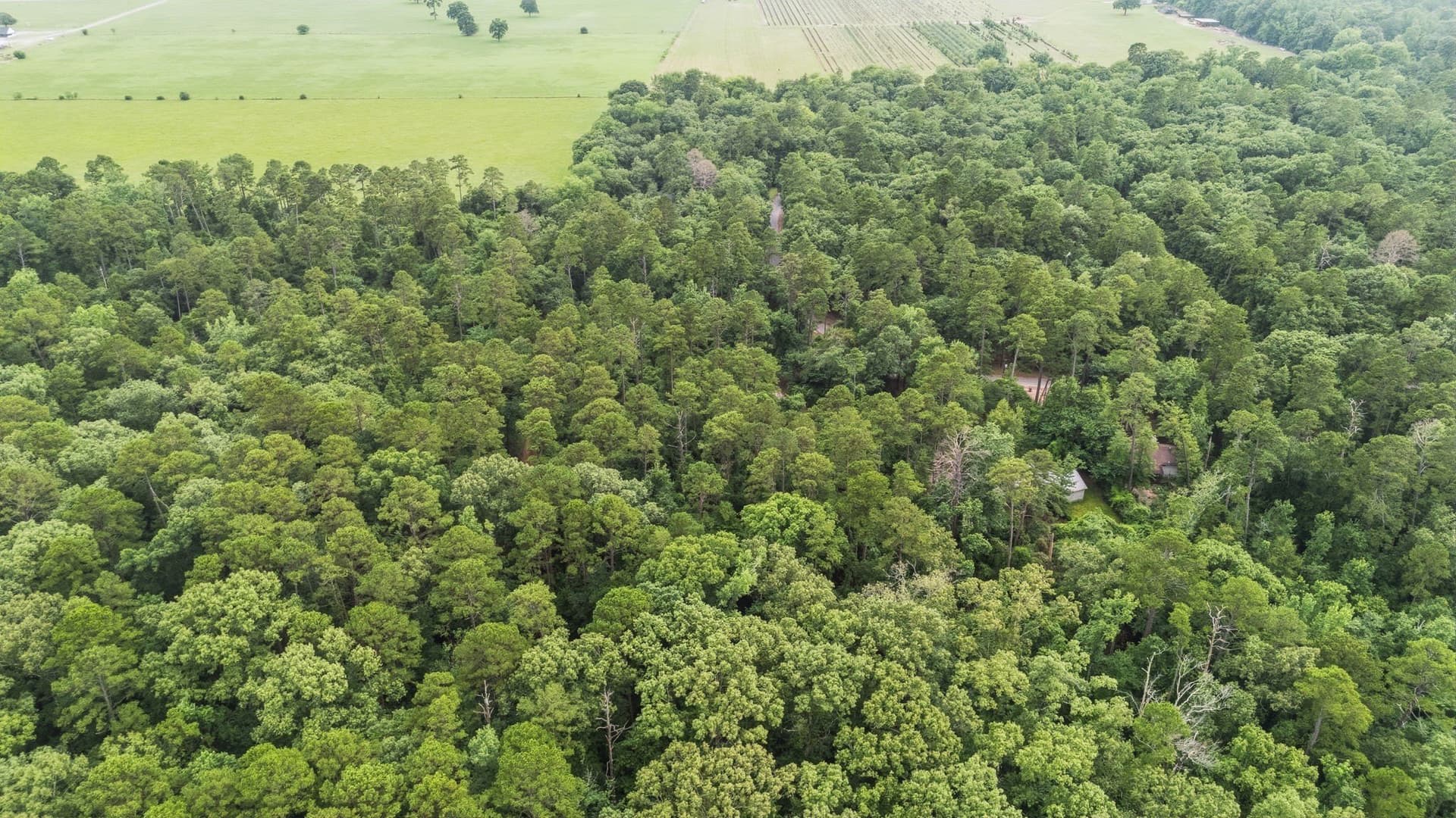 1.35 acres in Wood County - photo 23