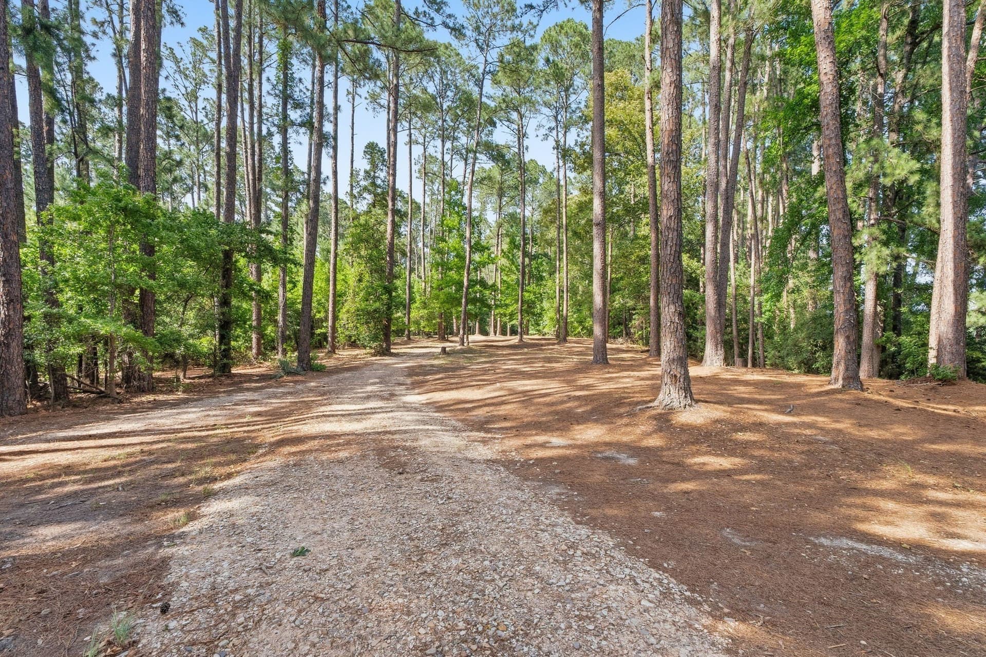 1.35 acres in Wood County - photo 16