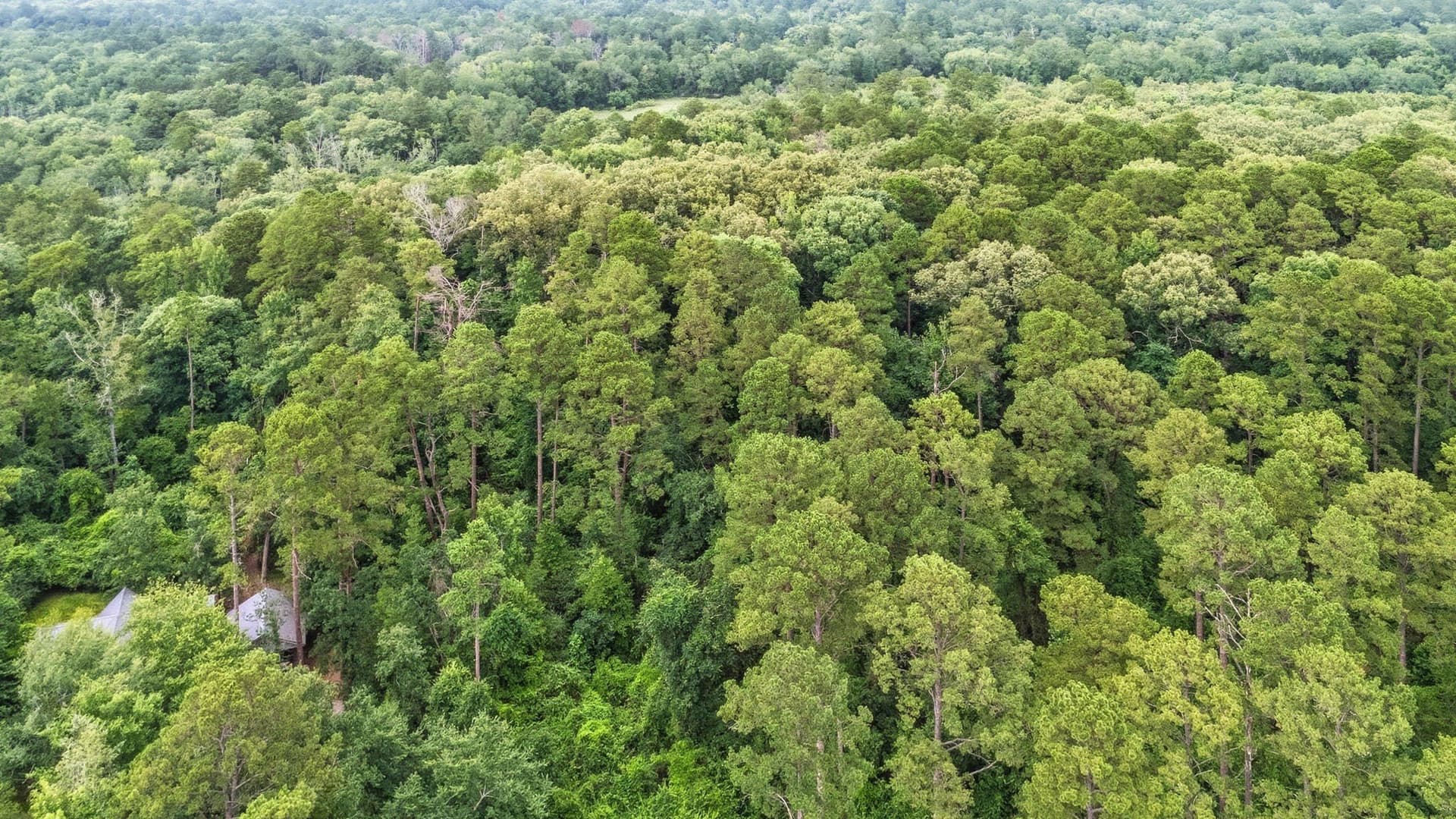 1.35 acres in Wood County - photo 20