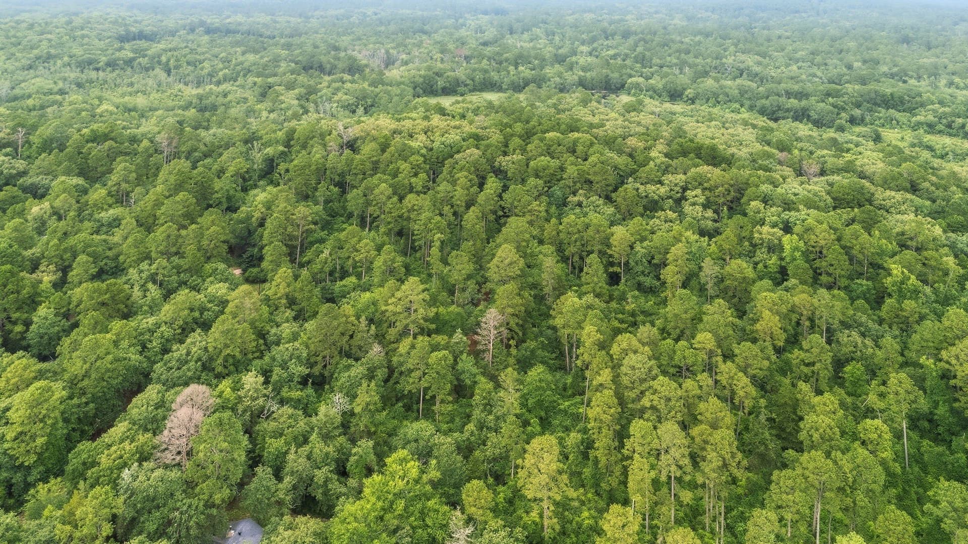 1.35 acres in Wood County - photo 25