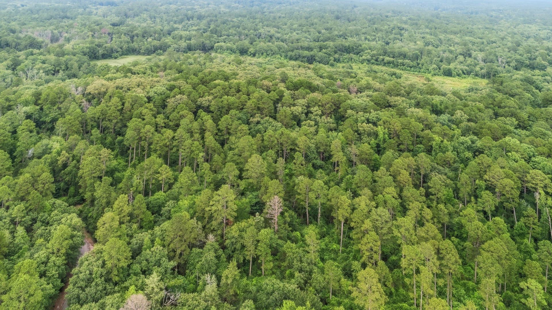1.35 acres in Wood County - photo 27