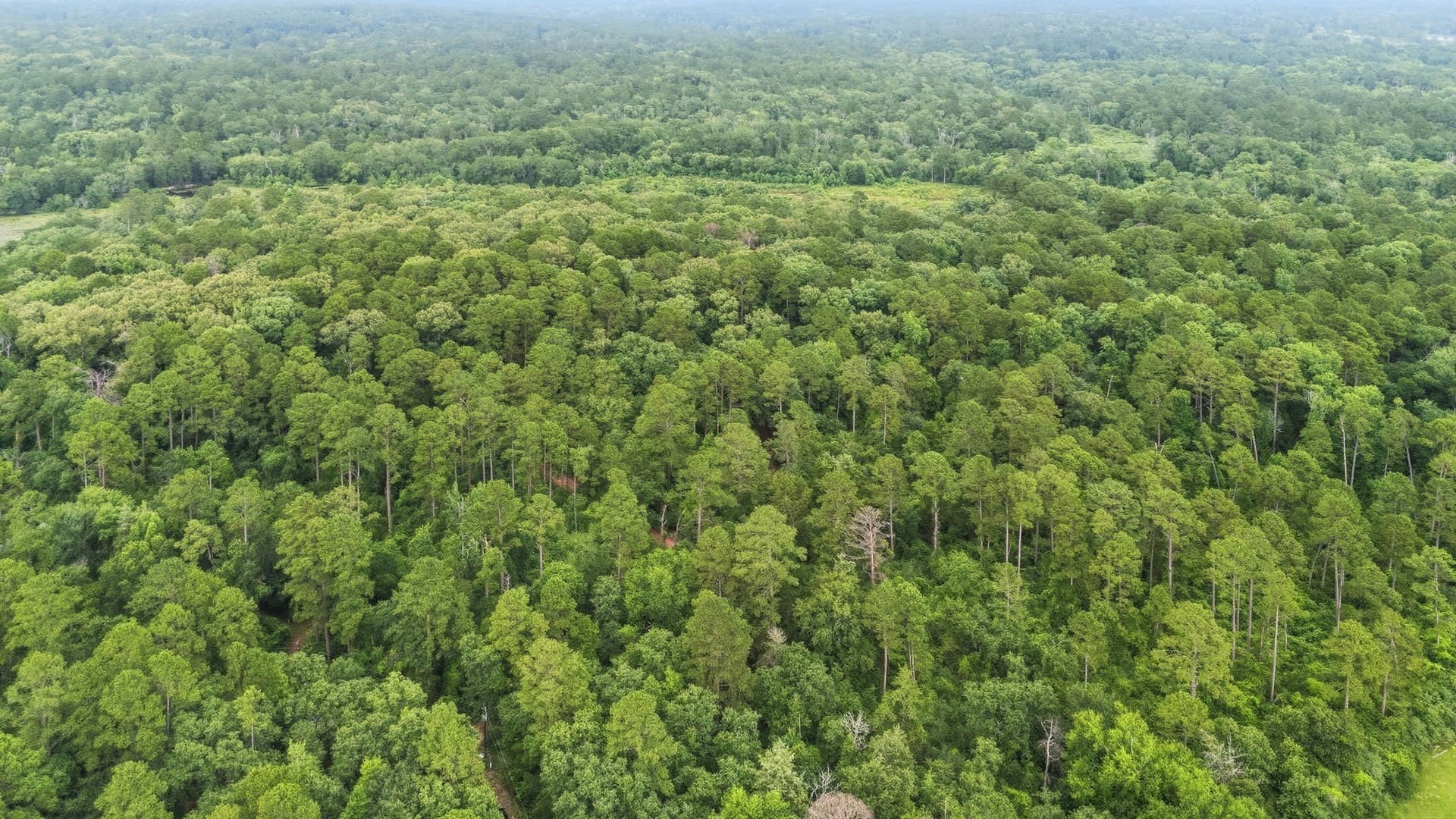 1.35 acres in Wood County - photo 19