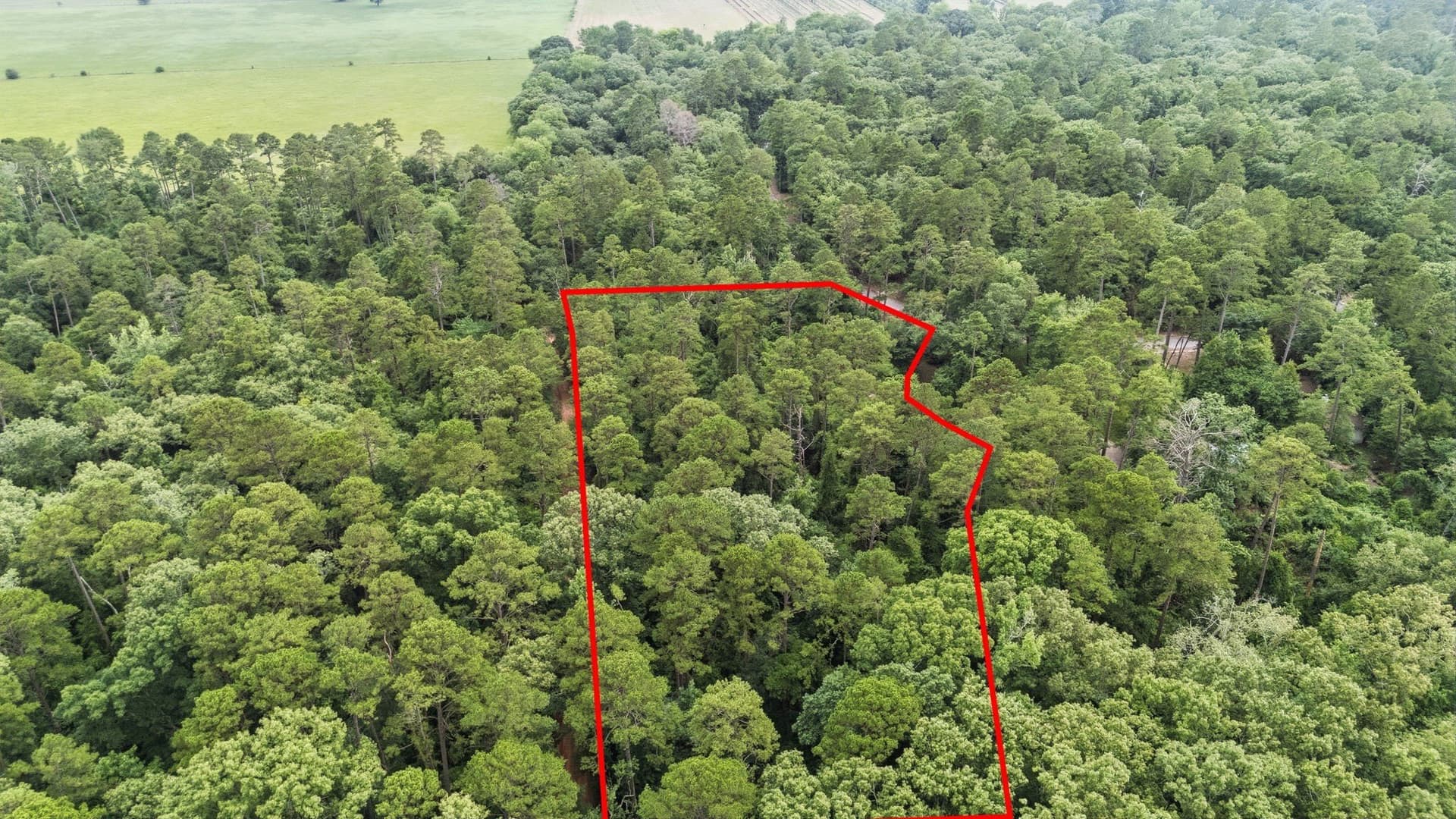 1.35 acres in Wood County - photo 5