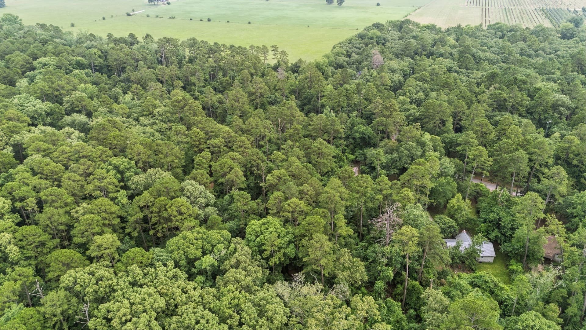 1.35 acres in Wood County - photo 22