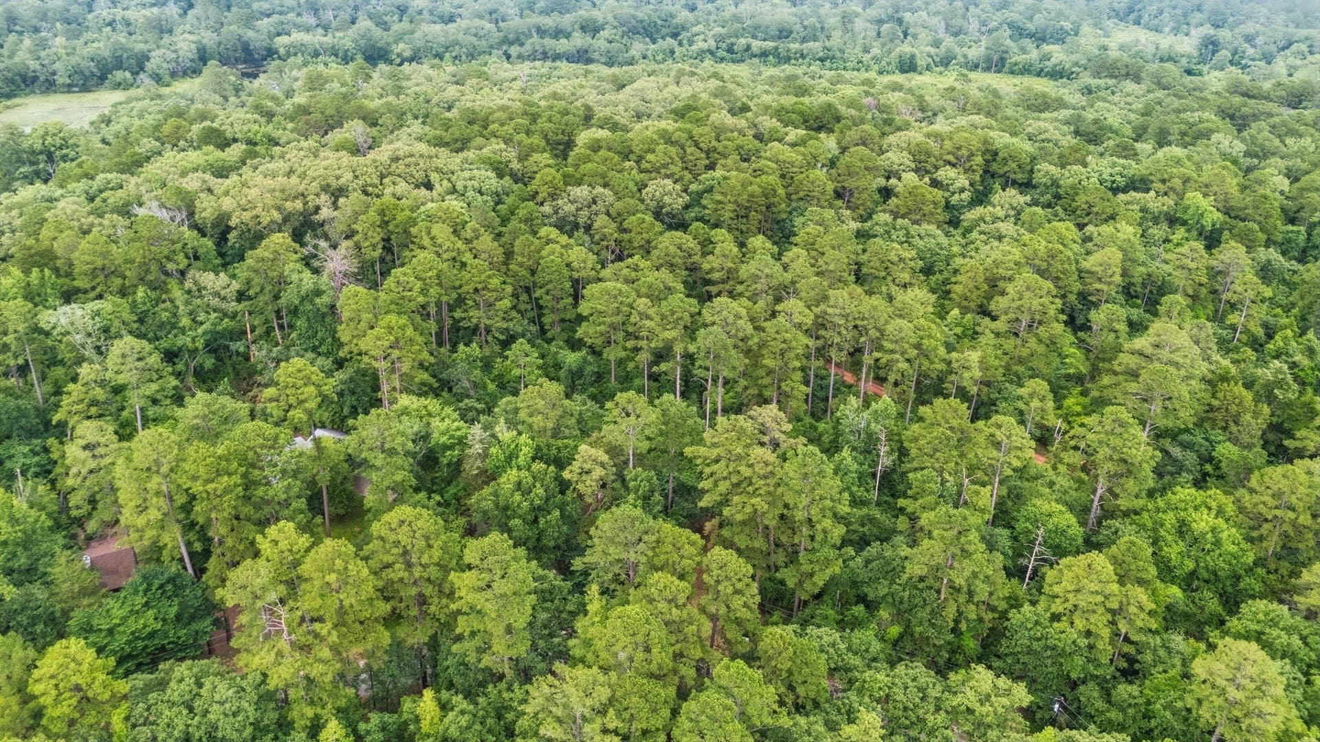 1.35 acres in Wood County - photo 21