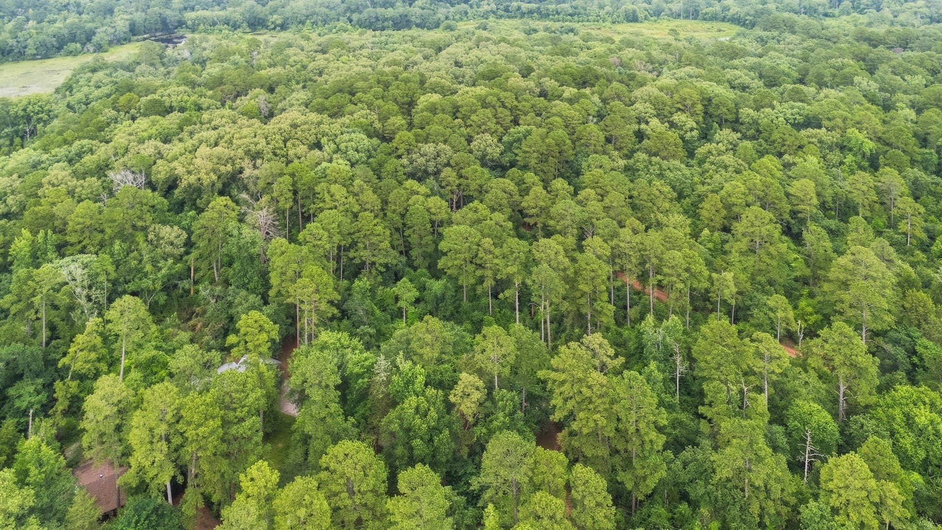 1.35 acres in Wood County - photo 24