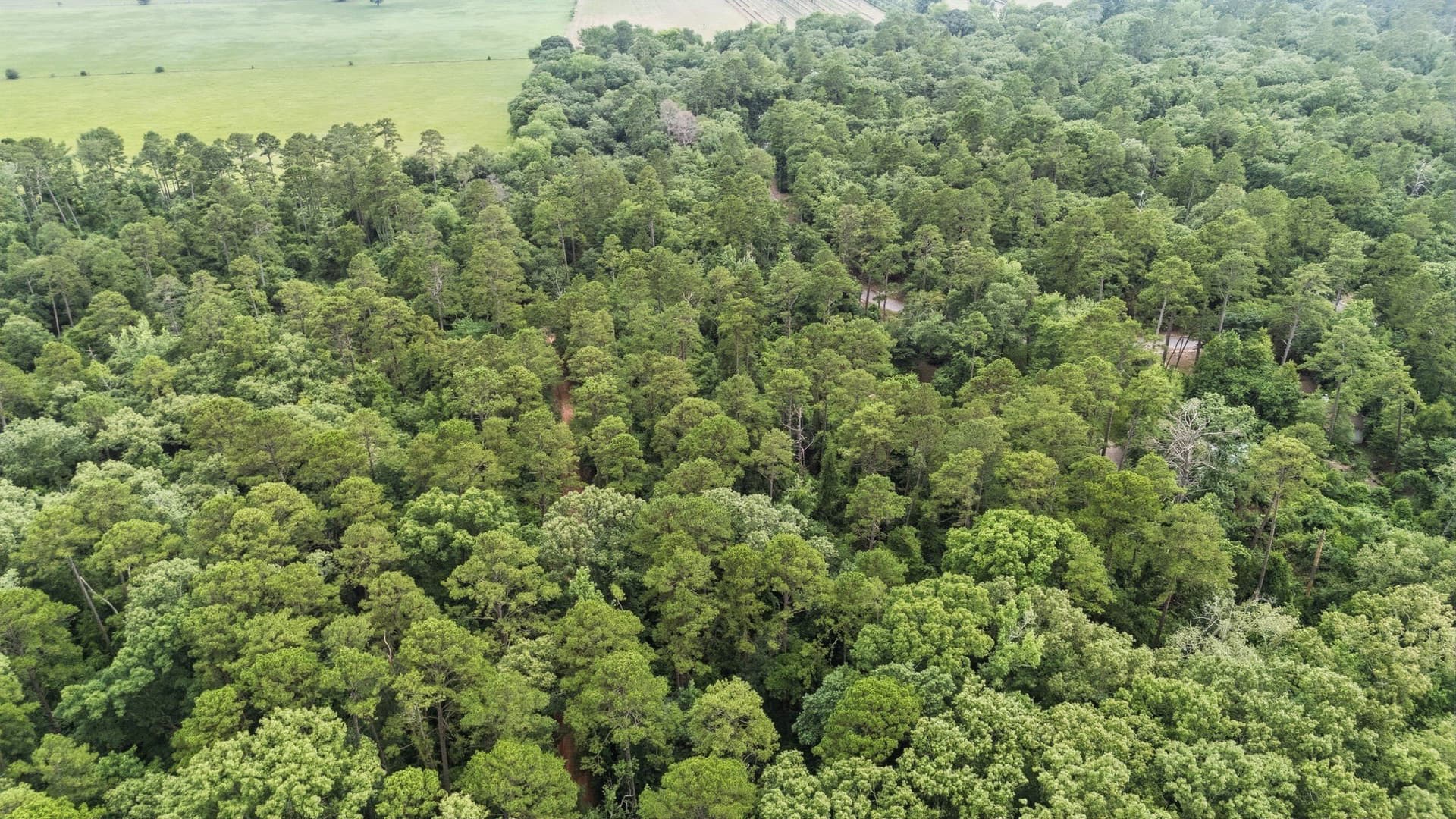 1.35 acres in Wood County - photo 26