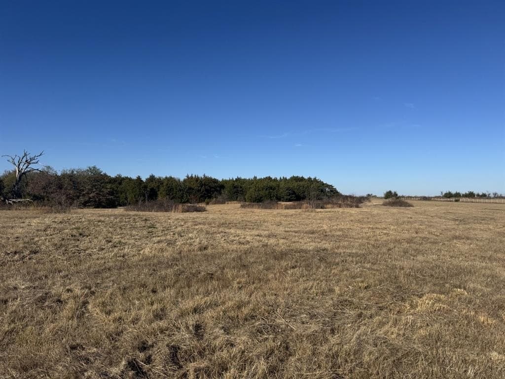 11 acres in Lamar County gallery image 3